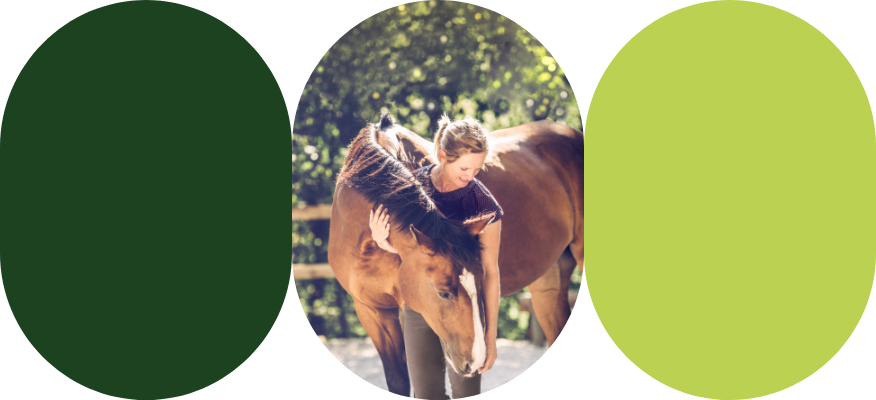 Equine riculture