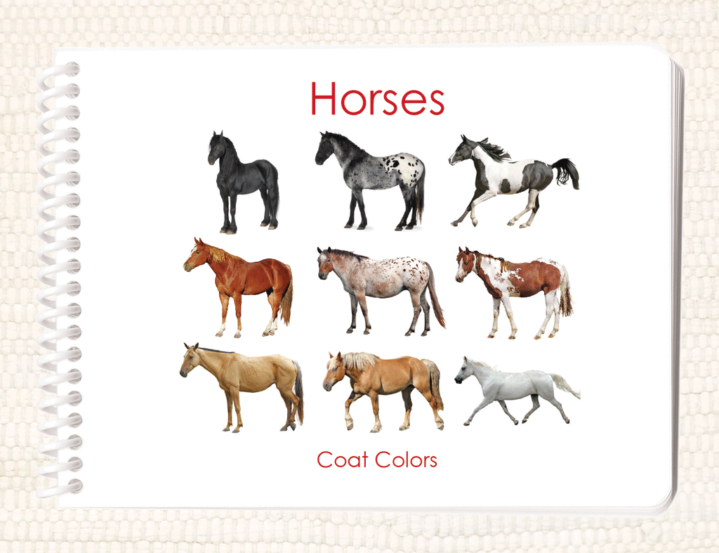 Horses coat colors book â maitri learning