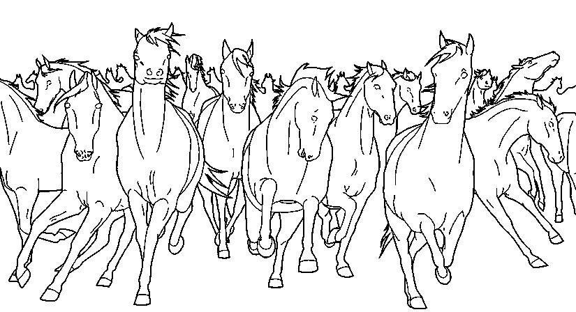 Art therapy coloring page horses wild horses