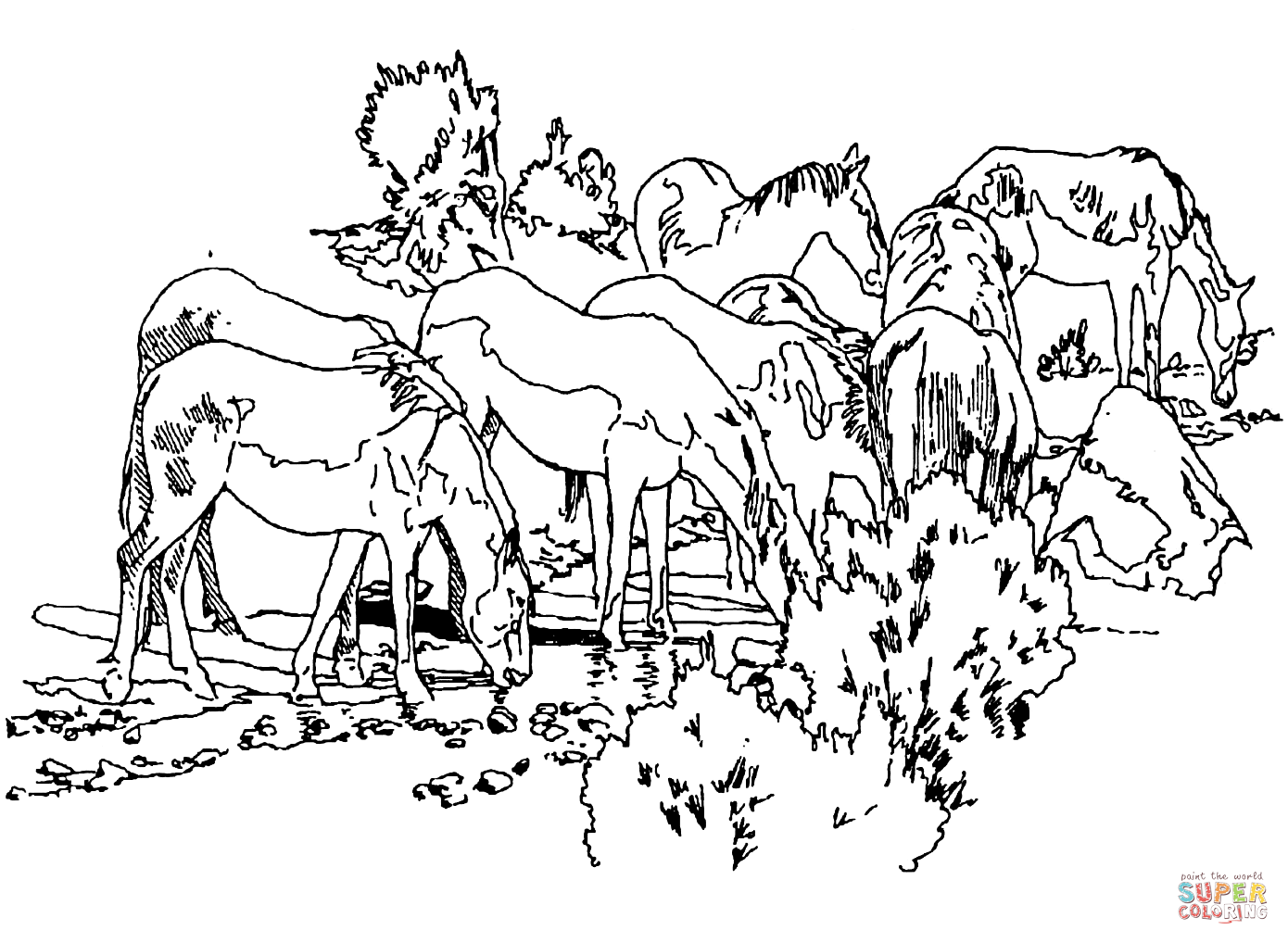 Wild horses coloring page free printable coloring pages