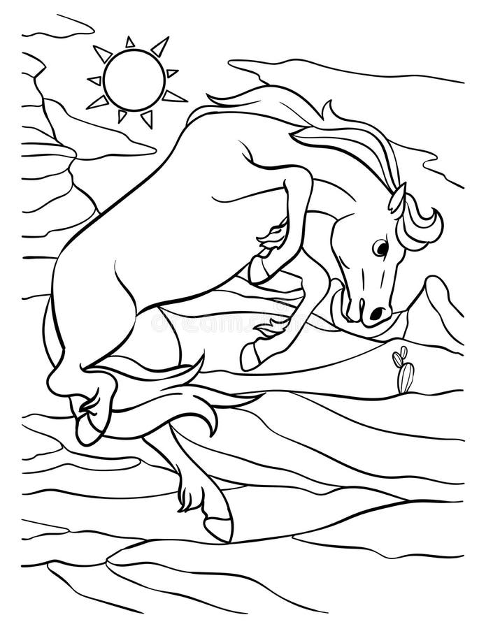 Cowboy wild horse coloring page for kids stock vector