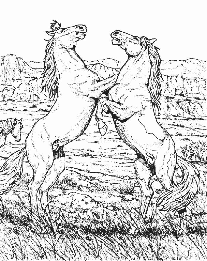 Wild horse coloring pages
