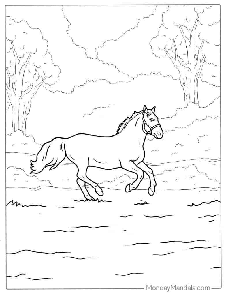 Horse coloring pages free pdf printables