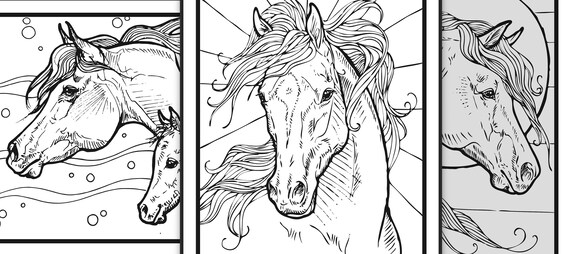 Line art coloring pages wild horses digital download printable
