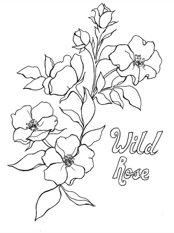 Wild flowers coloring sheets set of wild rose camas coneflower