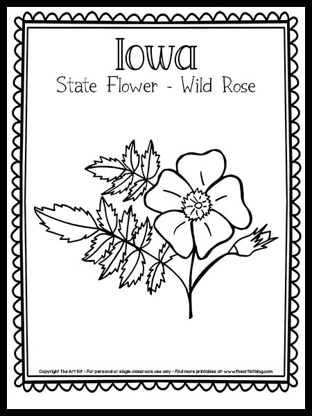 Iowa state flower wild rose coloring page free printable â the art kit