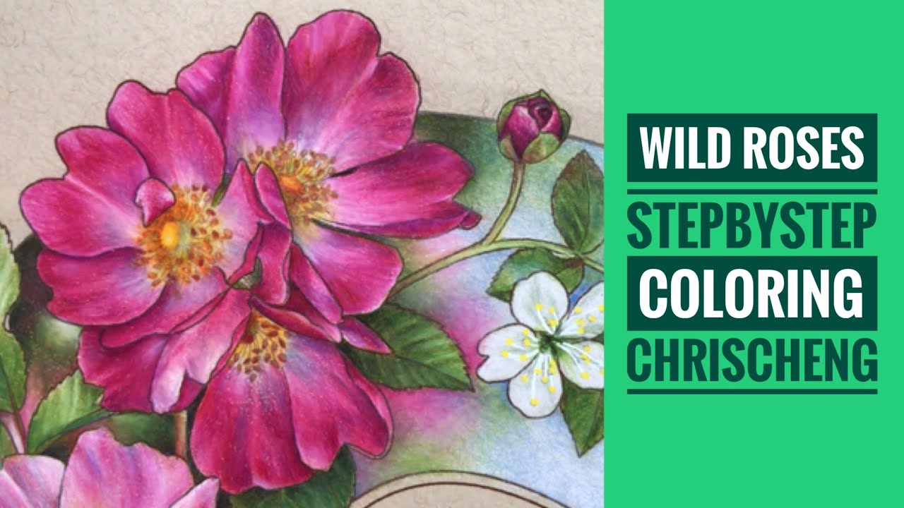 Wild roses