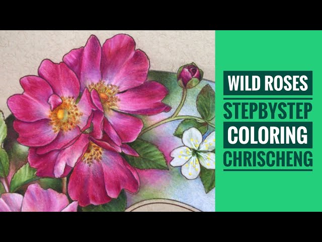 Wild roses