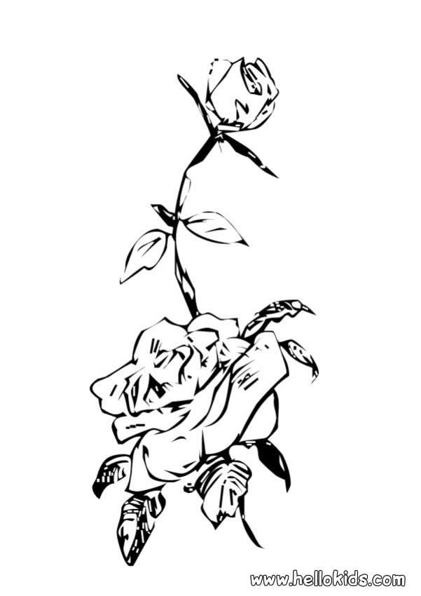 Flower coloring pages
