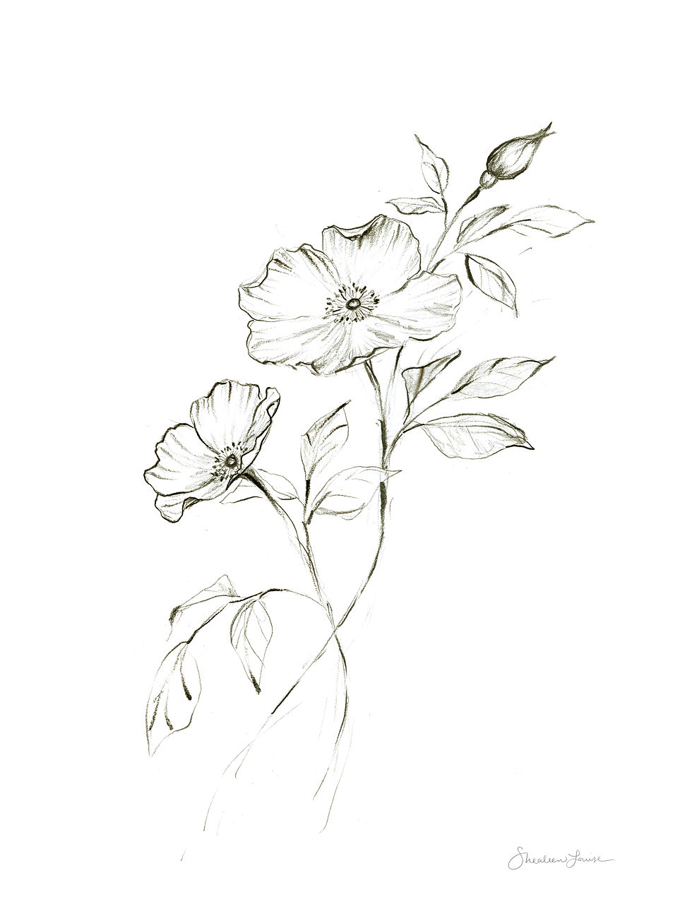 Printable download of wild rose