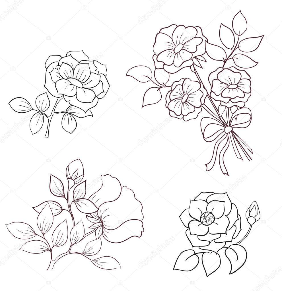 Contours flowers of wild rose stock vector by snowkat