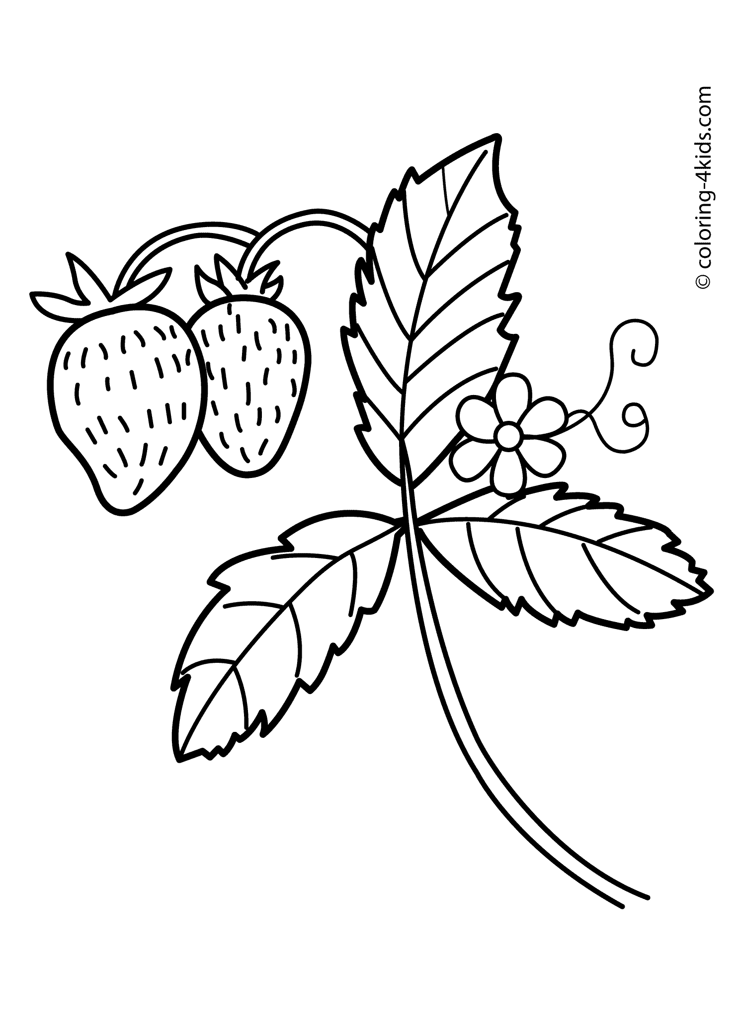 Strawberry nature coloring page for kids printable free coloring pages coloring pages for kids colorful drawings