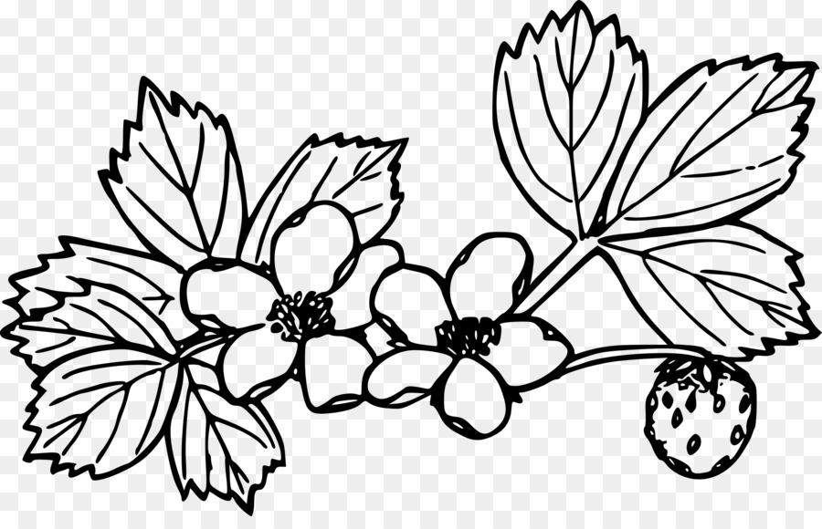 Butterfly black and white png download