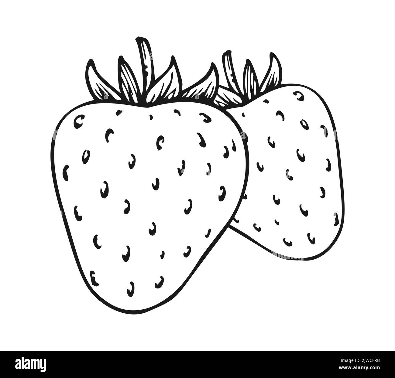 Handful strawberries black and white stock photos images