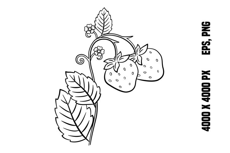 Wild strawberry for coloring