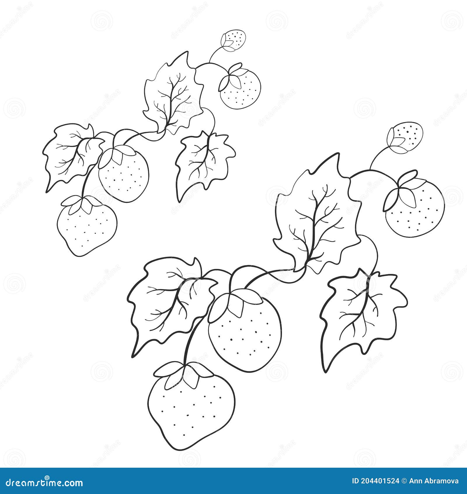 Wild forest berry strawberry coloring book page stock vector