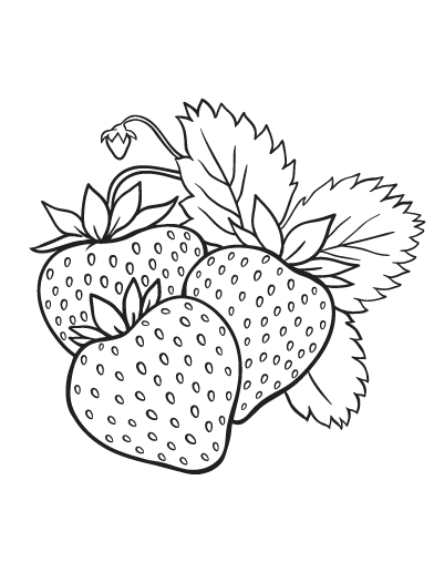 Free strawberry coloring page