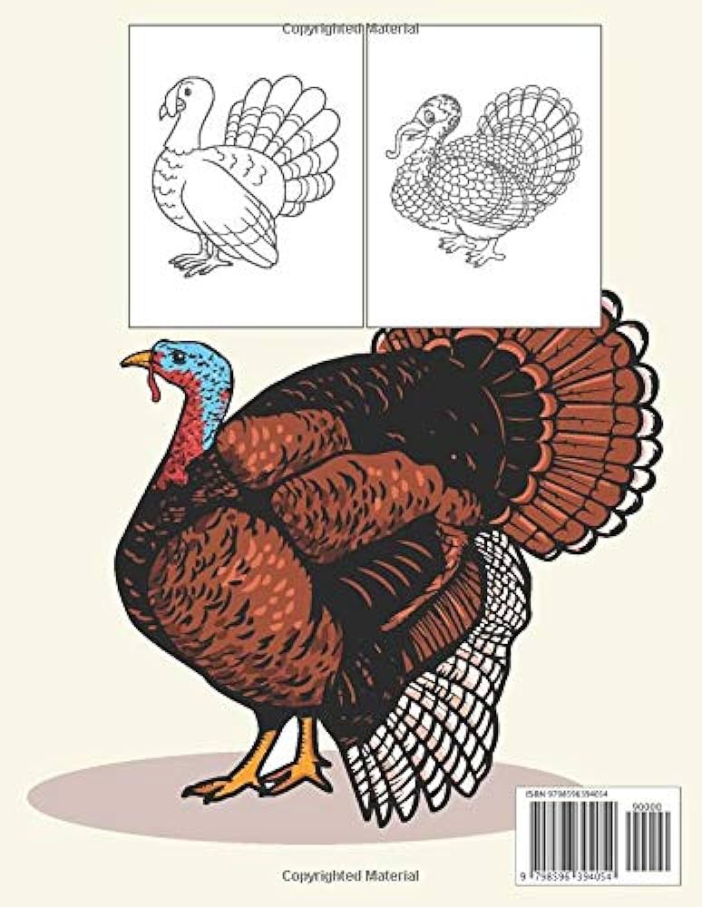 Turkey coloring book for adults turkey coloring book for adults and turkey lover wild turkey animal coloring pages publications cutebook books