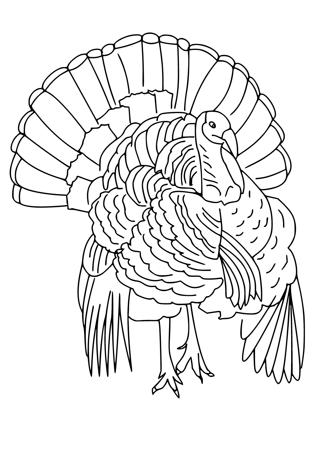 Free printable turkey feathers coloring page for adults and kids