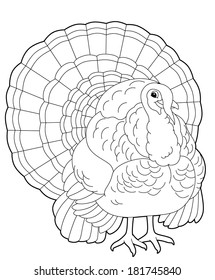 Cartoon animal wild turkey illustration children stock illustration