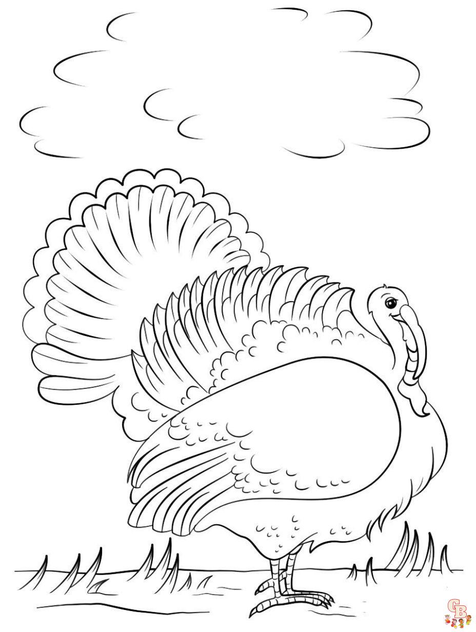 Enjoy free turkey coloring pages printable and have fun