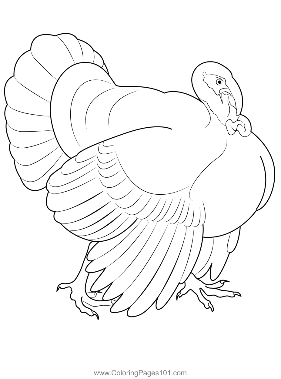 Walking turkey coloring page for kids