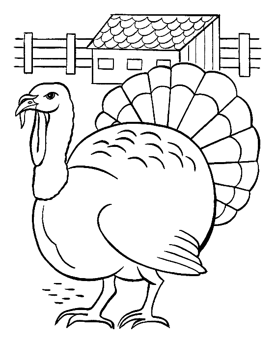 Turkey coloring pages printable for free download