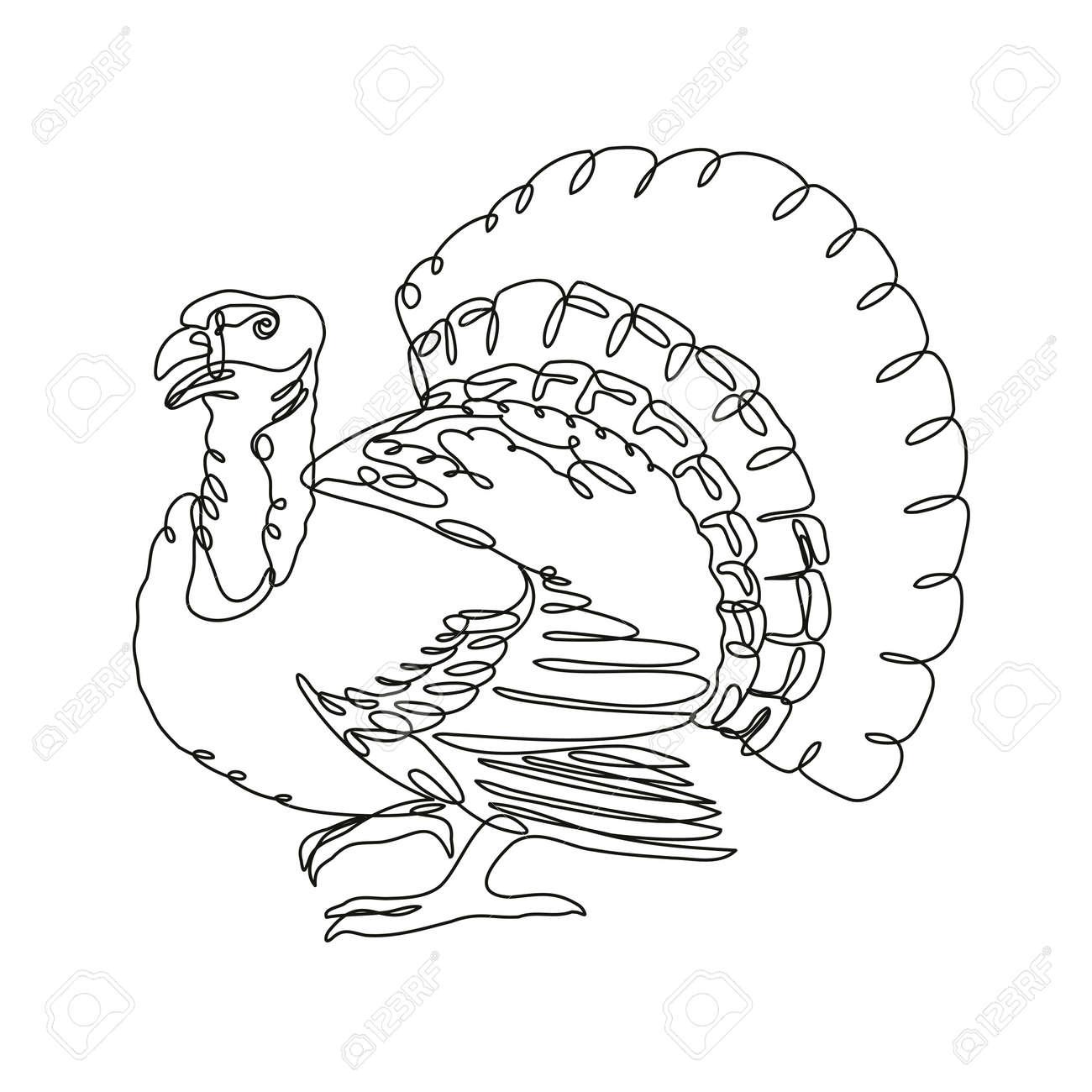 Continuous line drawing illustration of a wild turkey or domestic turkey viewed from side done in mono line or doodle style in black and white on isolated background royalty free svg cliparts