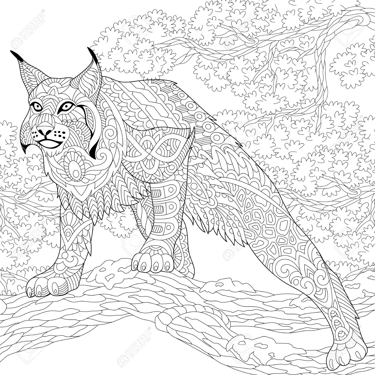 Stylized hunting wildcat lynx american bobcat caracal ready to attack freehand sketch for adult anti stress coloring book page with doodle and zentangle elements royalty free svg cliparts vectors and stock illustration