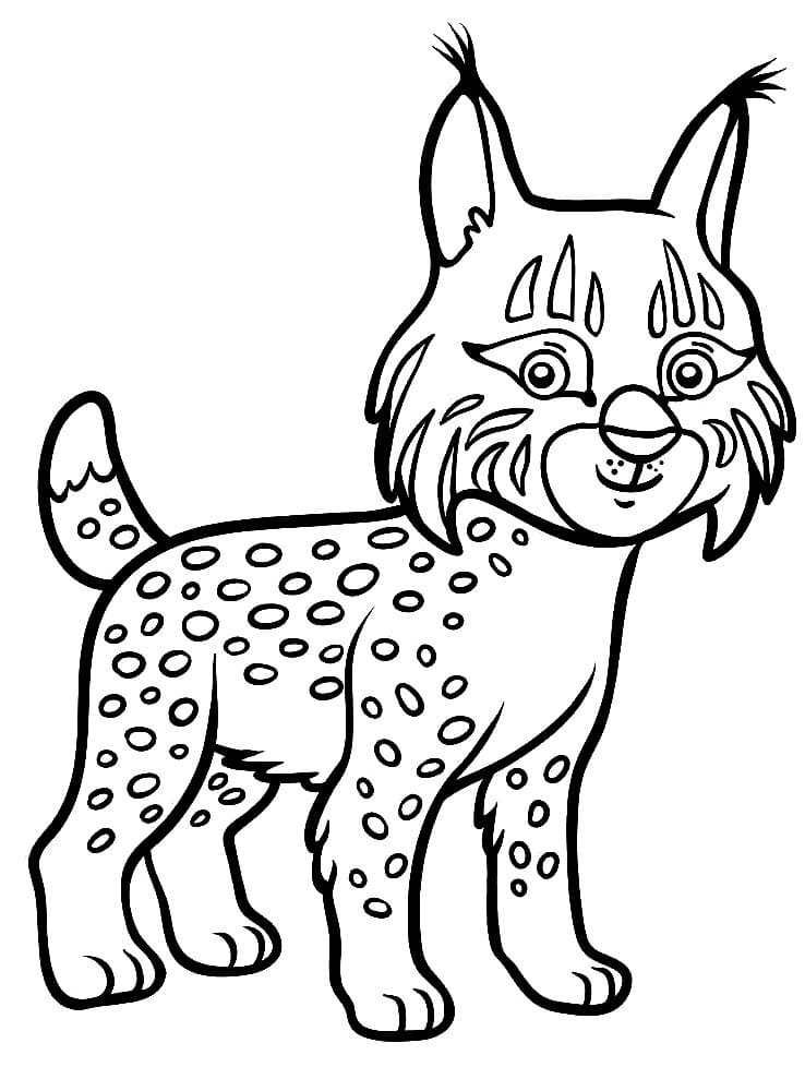 Lynx wildcat coloring page
