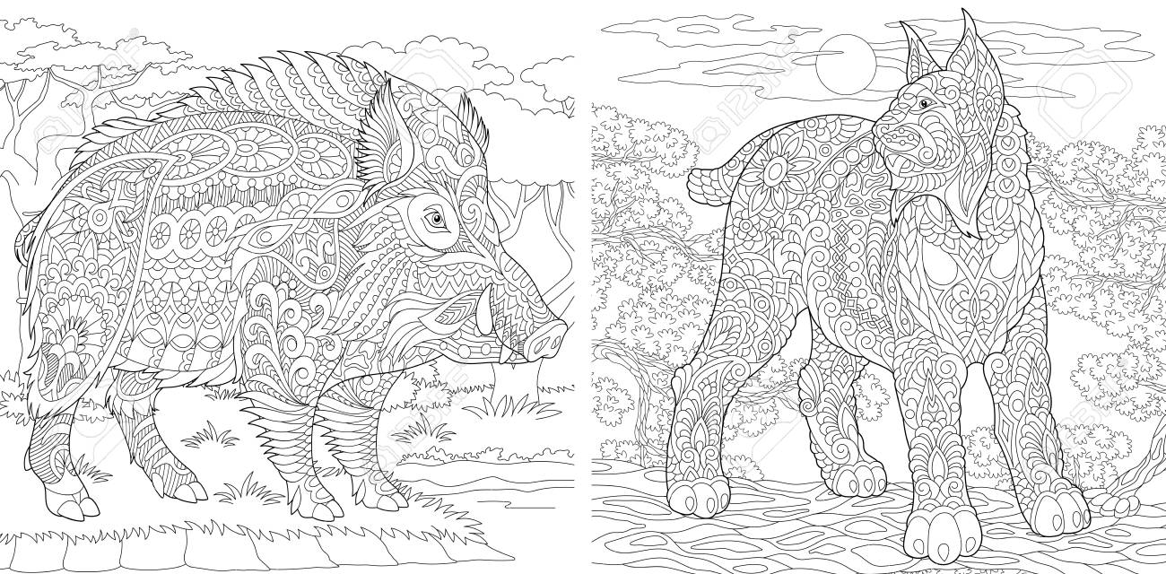 Coloring pages coloring book for adults colouring pictures with wildcat and wild boar antistress freehand sketch drawing with doodle and zentangle elements royalty free svg cliparts vectors and stock illustration image