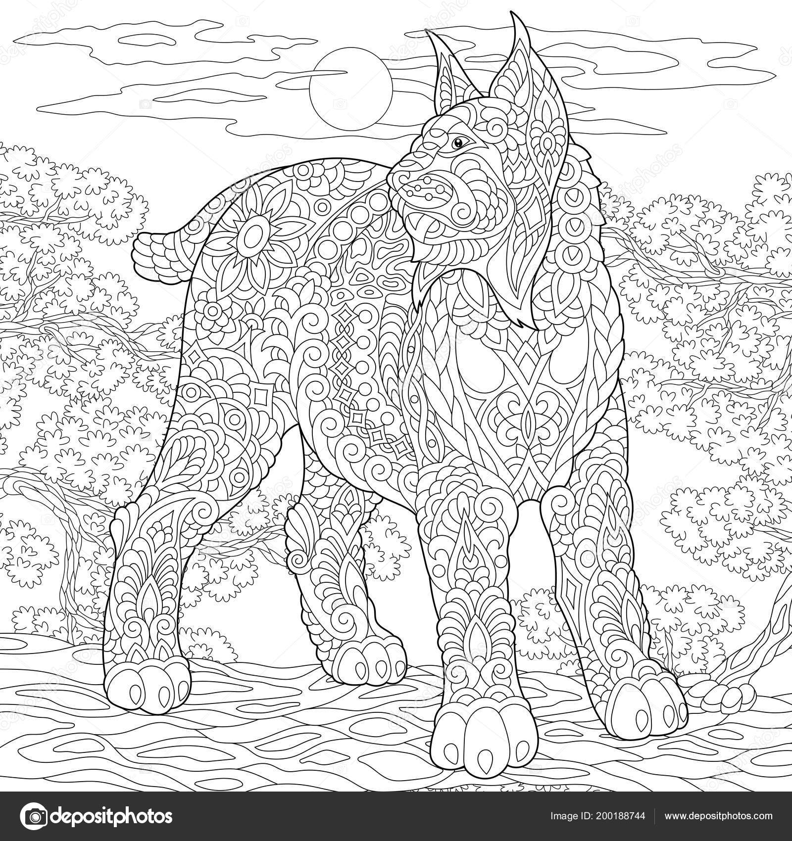 Wildcat coloring page colouring picture adult coloring book idea freehand stock vector by sybirko