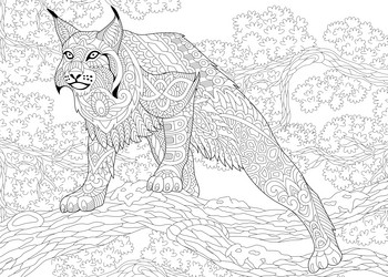 Wildcat vector images over