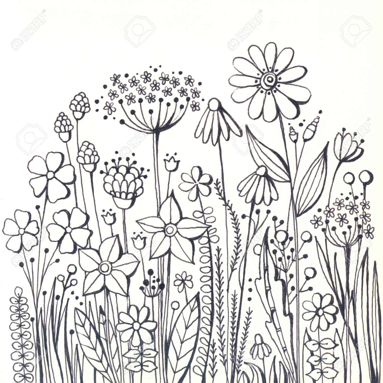 Coloring book with decorative wildflowers and herbs hand drawn sketch flowers stock photo picture and royalty free image image