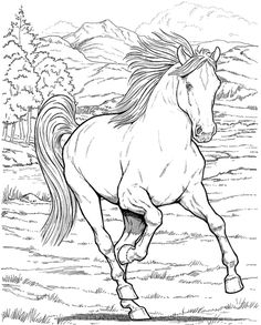 Wele to dover publications horse coloring books horse coloring pages animal coloring pages