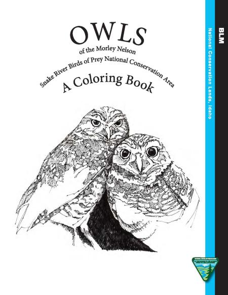 Morley nelson snake river birds of prey owl coloring book bureau of land management