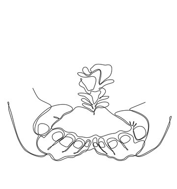 Premium vector drawing a straight line is planting the seed into the soil hand holding tree