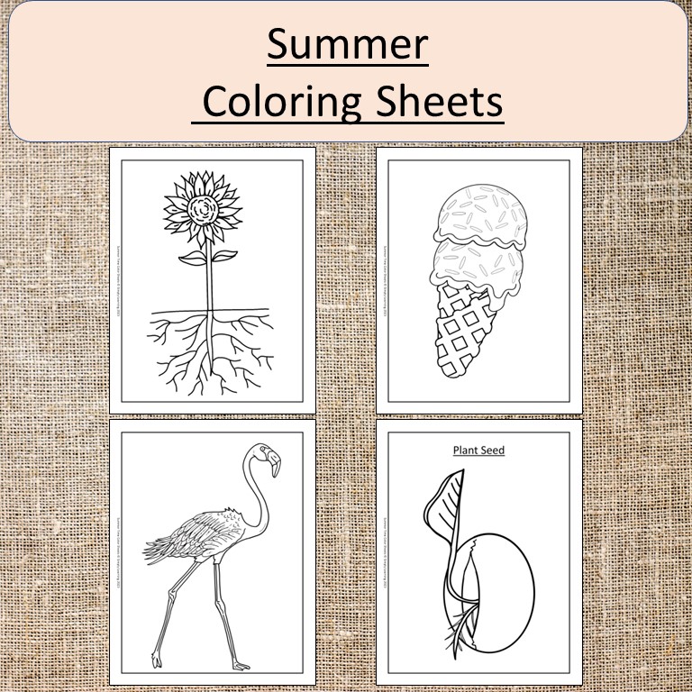 Summer color sheets pages art garden flowers butterfly plants made by teachers