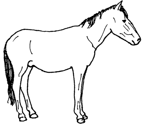Wild horse coloring page free printable coloring pages