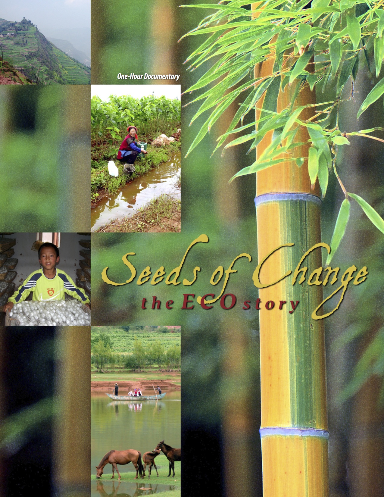 Seeds of change the eco story tv movie