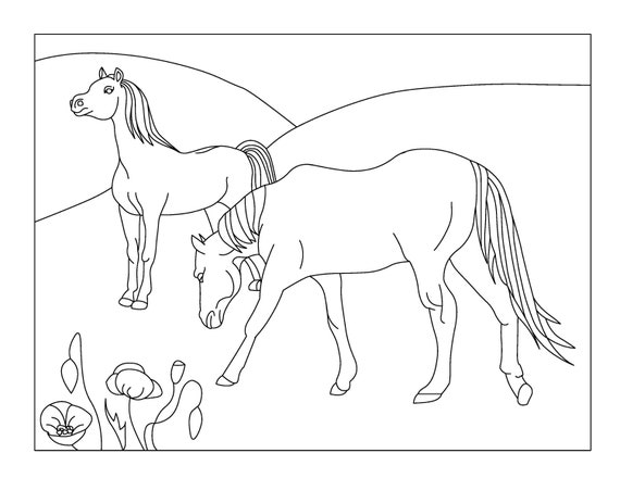 Wild horses printable coloring pages horse coloring book instant download pdf
