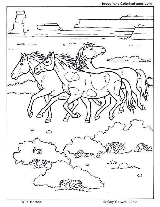 Horse coloring wild horse coloring free horse printables horse coloring pages horse coloring animal coloring pages