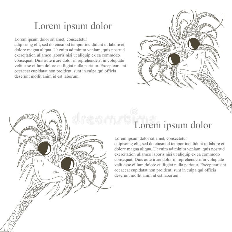Ostriches illustration stock illustrations â ostriches illustration stock illustrations vectors clipart