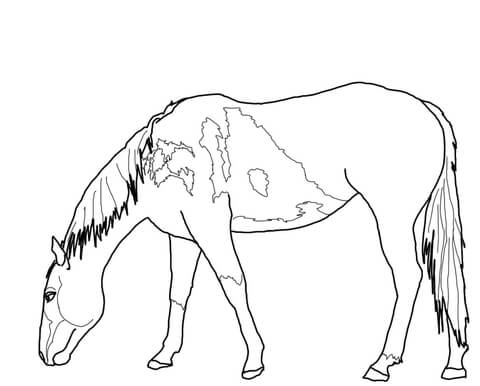 Grazing mustang coloring page free printable coloring pages