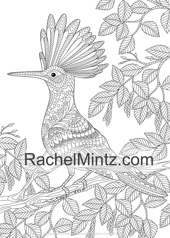 Zen wildlife animals â relaxing coloring book with detailed zentangle â rachel mintz coloring books