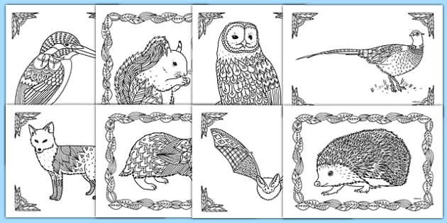 Printable pictures of forest animals louring in activity