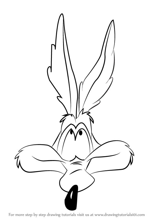 Wile e coyote is the main cartoon character from looney tunes cartoon in this tutorial we will draw wâ easy disney drawings coyote drawing cartoon characters