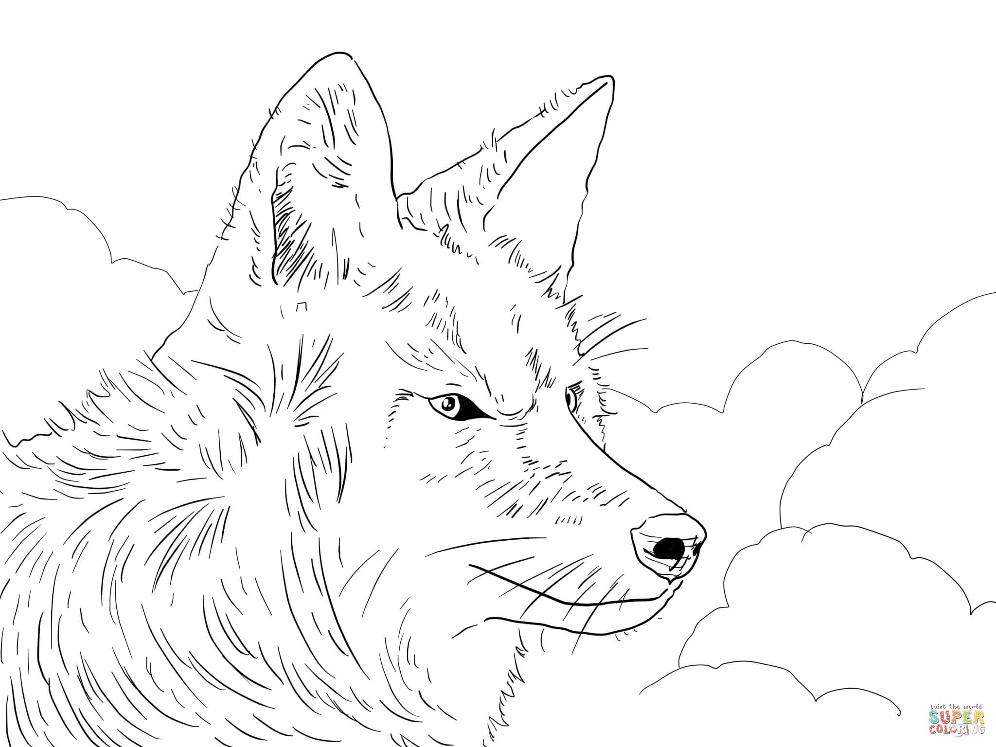 Coyote head coloring page free printable coloring pages