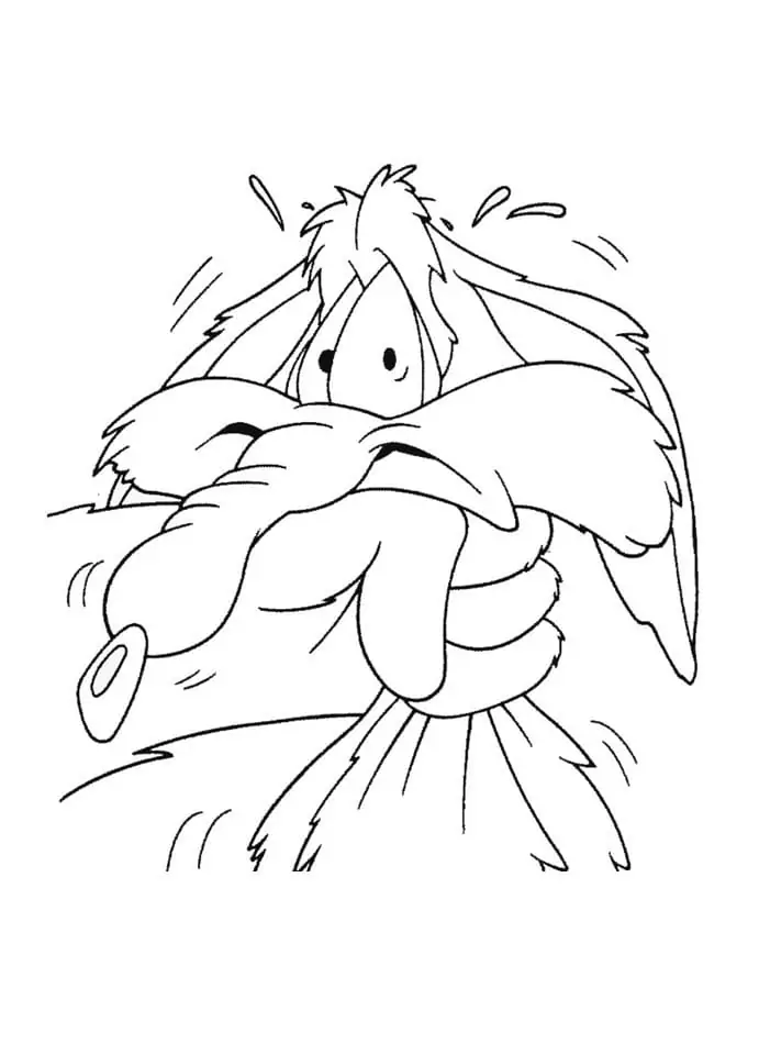 Free printable wile e coyote coloring page
