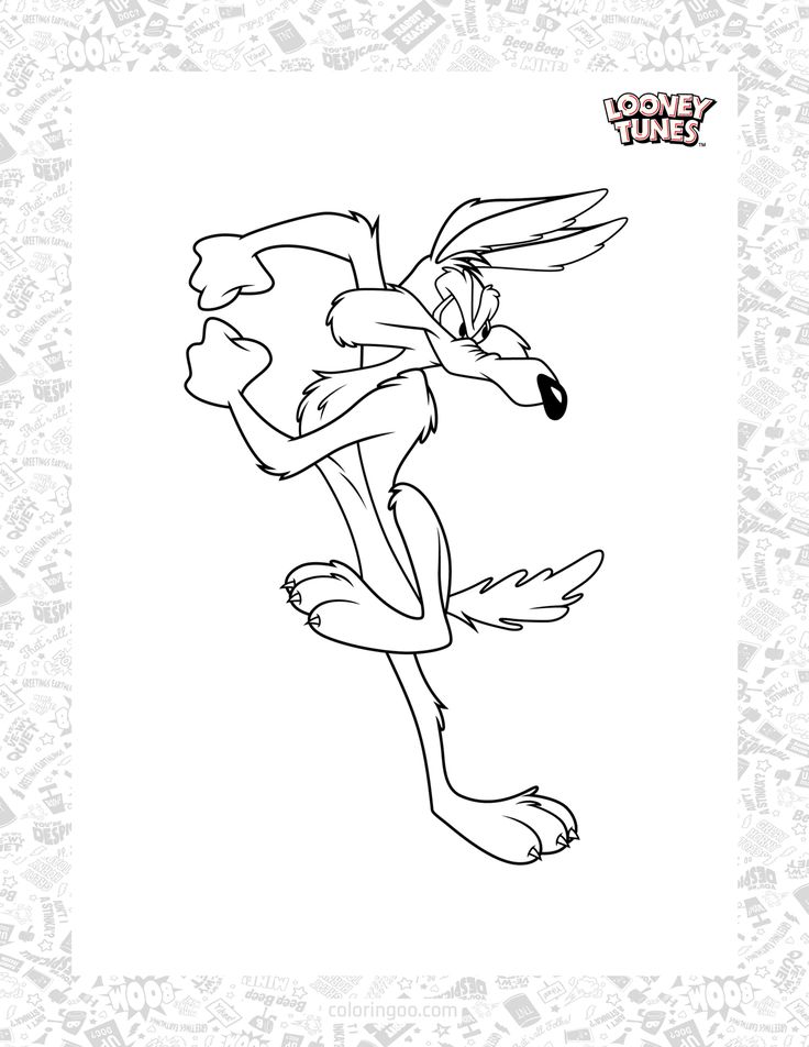 Wild adventure with wile